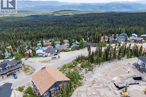 5850 Snow Pines Way - Photo 10