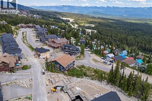 5850 Snow Pines Way - Photo 11