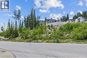 5850 Snow Pines Way - Photo 4