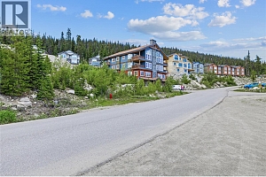 5850 Snow Pines Way - Photo 7