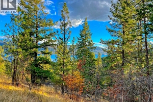 10751 Westshore Road - Photo 5