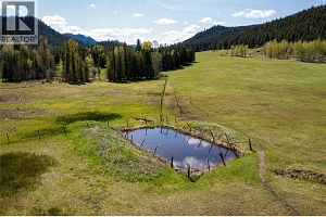 102 Gibson Road - Photo 35