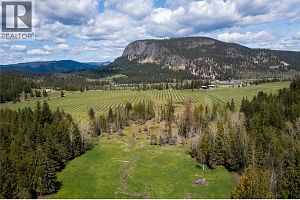 102 Gibson Road - Photo 38