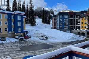 148 Silver Lode Lane Unit# 309 - Photo 19