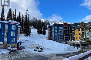 148 Silver Lode Lane Unit# 309 - Photo 20