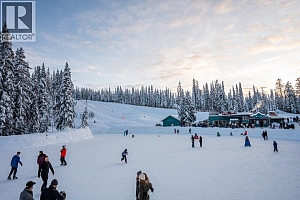 148 Silver Lode Lane Unit# 309 - Photo 23