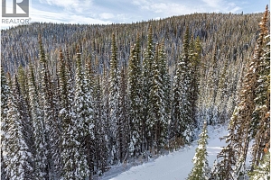 9966 Purcell Drive - Photo 15