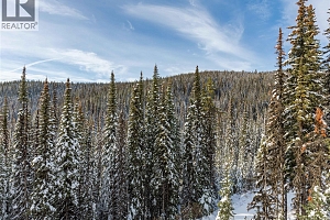 9966 Purcell Drive - Photo 23