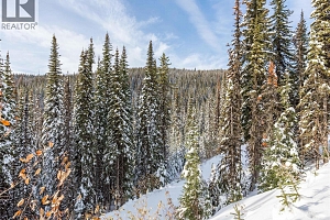 9966 Purcell Drive - Photo 35