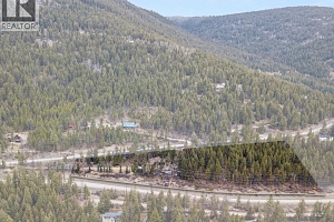 1809 Cardinal Creek Road - Photo 43