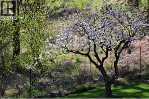 4239 4th Avenue - Photo 91