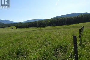 43 Sigalet Road - Photo 13