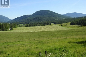 43 Sigalet Road - Photo 21