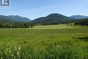 43 Sigalet Road - Photo 23