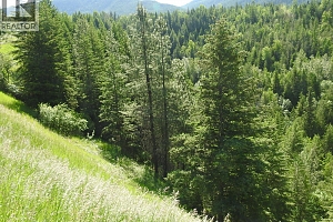 43 Sigalet Road - Photo 39