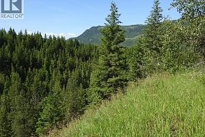 43 Sigalet Road - Photo 40