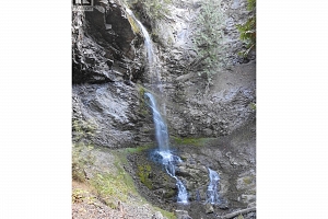 43 Sigalet Road - Photo 41