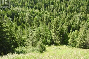 43 Sigalet Road - Photo 42