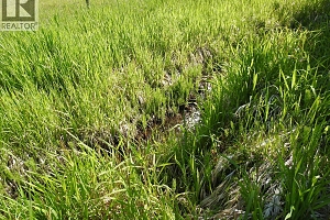 43 Sigalet Road - Photo 46