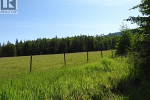 43 Sigalet Road - Photo 48