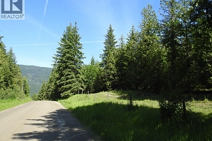 43 Sigalet Road - Photo 50