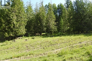 43 Sigalet Road - Photo 52