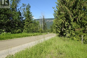 43 Sigalet Road - Photo 53