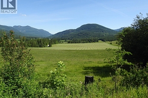 43 Sigalet Road - Photo 58