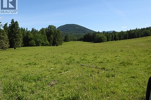 43 Sigalet Road - Photo 59