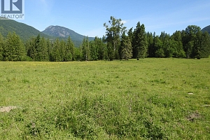 43 Sigalet Road - Photo 60