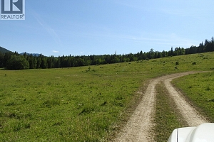 43 Sigalet Road - Photo 61