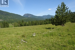 43 Sigalet Road - Photo 64