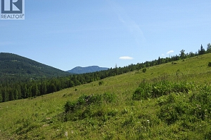 43 Sigalet Road - Photo 70