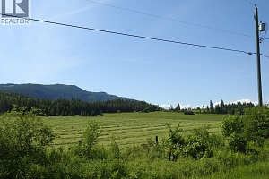 43 Sigalet Road - Photo 77