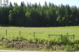 43 Sigalet Road - Photo 81