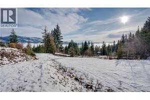 48 Stroulger Road - Photo 60