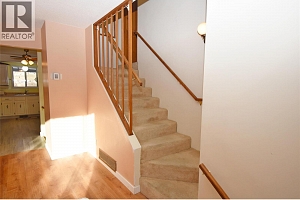 11603 Tassie Drive - Photo 38