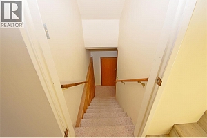 11603 Tassie Drive - Photo 50