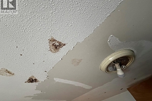 3712 24 Avenue Unit# 204 - Photo 28