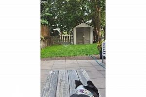 700 Collingwood Drive Unit# 24 - Photo 28