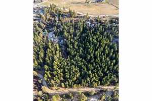 12390 Oyama Road Lot# B - Photo 13