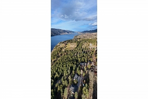 12390 Oyama Road Lot# B - Photo 16