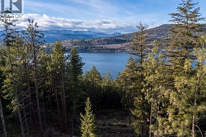 12390 Oyama Road Lot# B - Photo 22