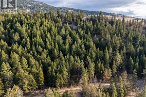 12390 Oyama Road Lot# B - Photo 28