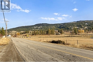12390 Oyama Road Lot# B - Photo 31