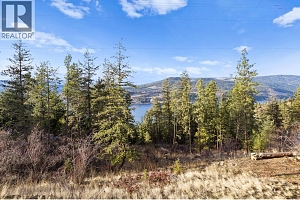 12390 Oyama Road Lot# B - Photo 35