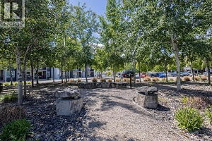 775 Academy Way Unit# 207 - Photo 8