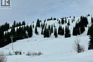 520 Arnica Lane - Photo 10