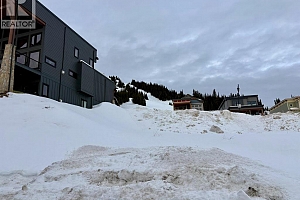 520 Arnica Lane - Photo 11