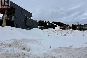 520 Arnica Lane - Photo 12